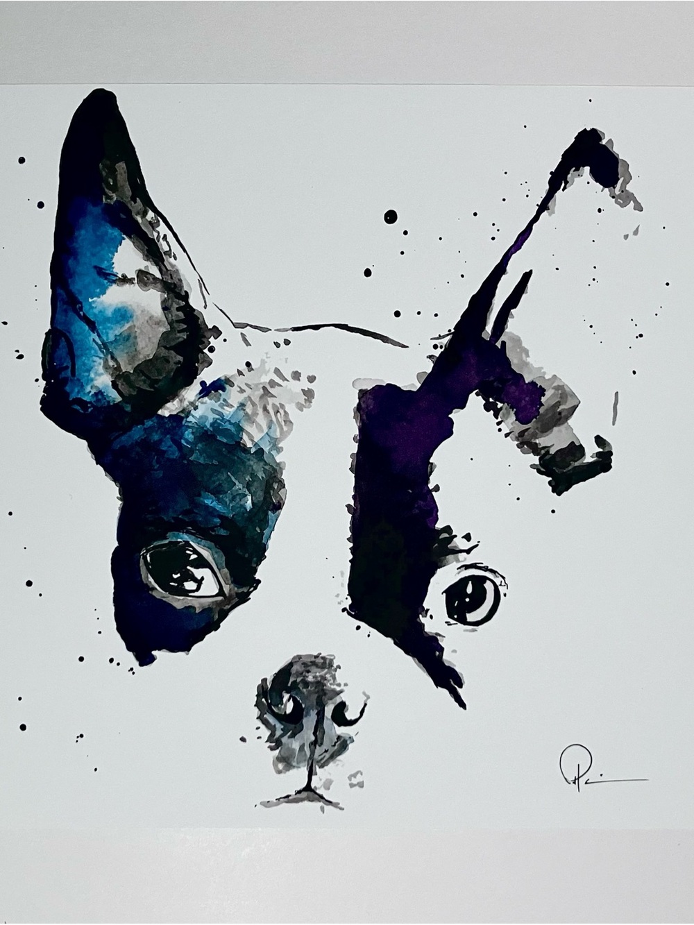 PATRICK HOBBIE Print / Adorable BOSTON TERRIER / 8x10 Inch / Printed Signature